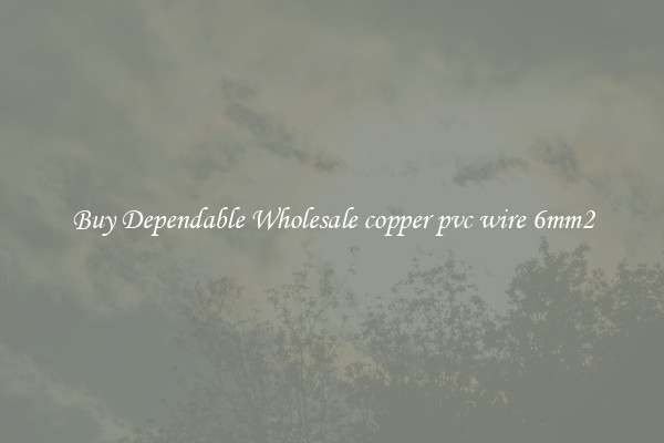 Buy Dependable Wholesale copper pvc wire 6mm2
