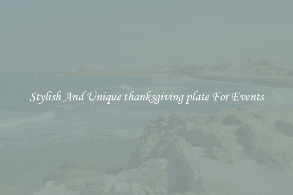 Stylish And Unique thanksgiving plate For Events
