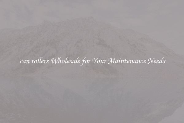 can rollers Wholesale for Your Maintenance Needs