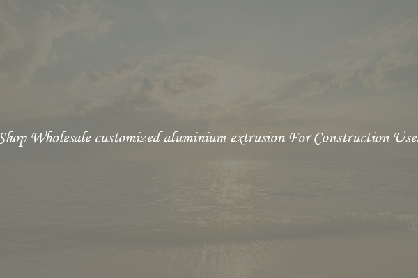 Shop Wholesale customized aluminium extrusion For Construction Uses