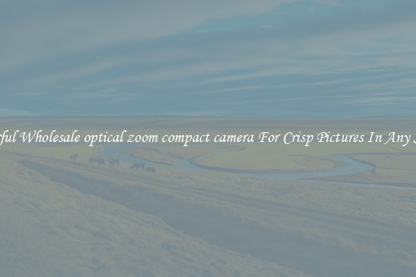 Powerful Wholesale optical zoom compact camera For Crisp Pictures In Any Setting