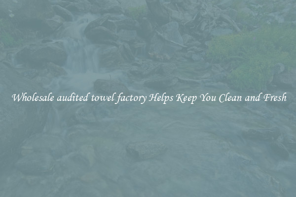 Wholesale audited towel factory Helps Keep You Clean and Fresh