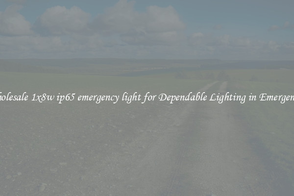 Wholesale 1x8w ip65 emergency light for Dependable Lighting in Emergencies