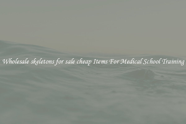 Wholesale skeletons for sale cheap Items For Medical School Training