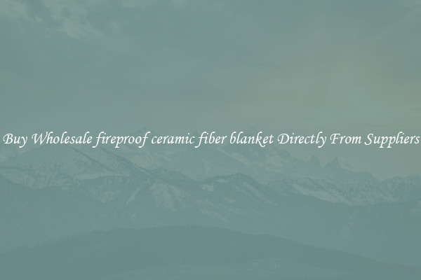 Buy Wholesale fireproof ceramic fiber blanket Directly From Suppliers