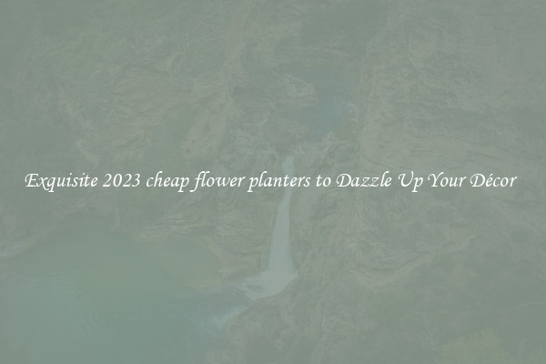 Exquisite 2023 cheap flower planters to Dazzle Up Your Décor  