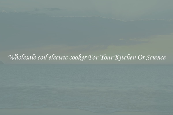 Wholesale coil electric cooker For Your Kitchen Or Science