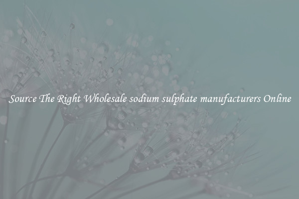 Source The Right Wholesale sodium sulphate manufacturers Online