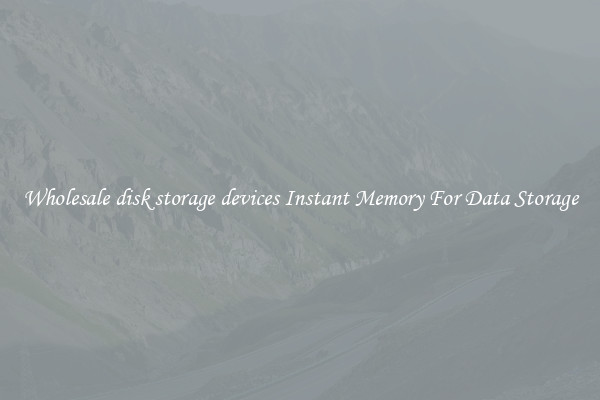 Wholesale disk storage devices Instant Memory For Data Storage