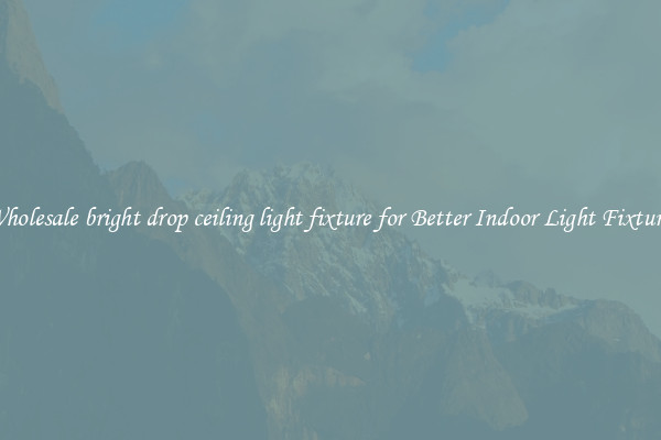 Wholesale bright drop ceiling light fixture for Better Indoor Light Fixtures