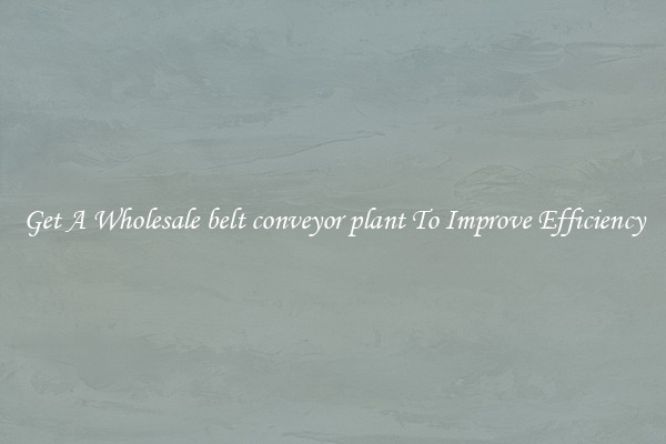 Get A Wholesale belt conveyor plant To Improve Efficiency