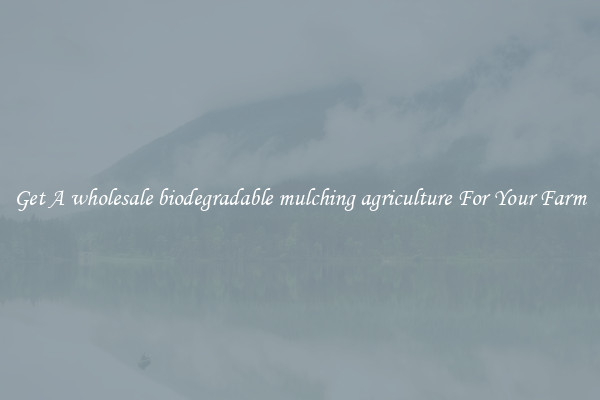 Get A wholesale biodegradable mulching agriculture For Your Farm