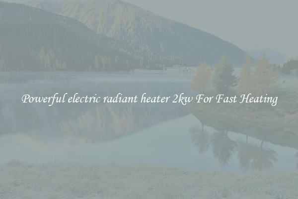 Powerful electric radiant heater 2kw For Fast Heating