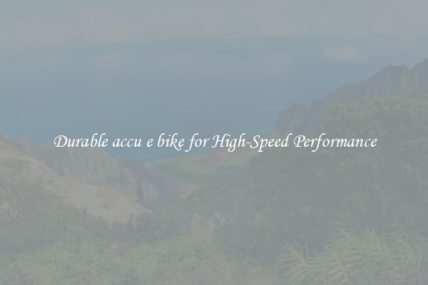 Durable accu e bike for High-Speed Performance