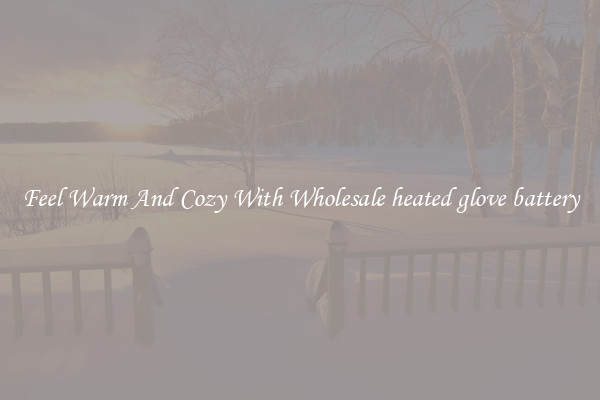 Feel Warm And Cozy With Wholesale heated glove battery