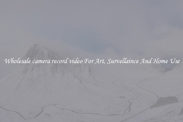 Wholesale camera record video For Art, Survellaince And Home Use