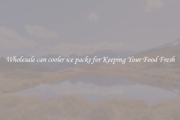 Wholesale can cooler ice packs for Keeping Your Food Fresh