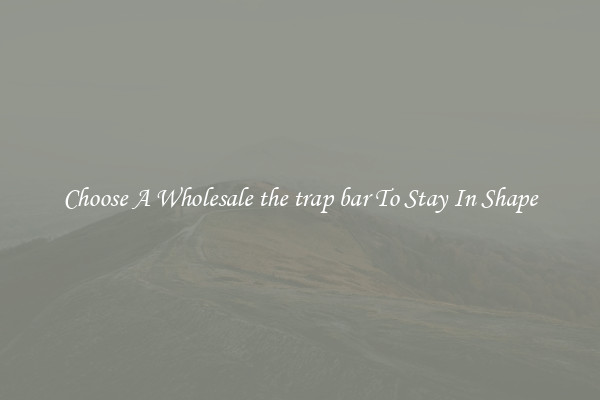 Choose A Wholesale the trap bar To Stay In Shape
