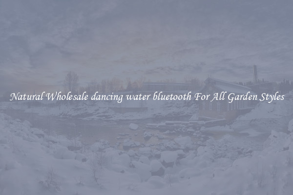 Natural Wholesale dancing water bluetooth For All Garden Styles