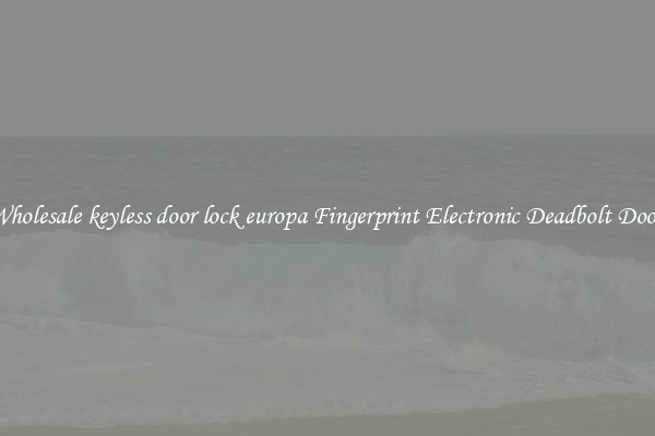 Wholesale keyless door lock europa Fingerprint Electronic Deadbolt Door 