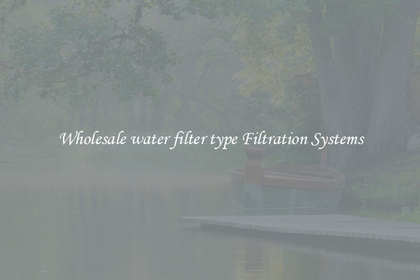 Wholesale water filter type Filtration Systems