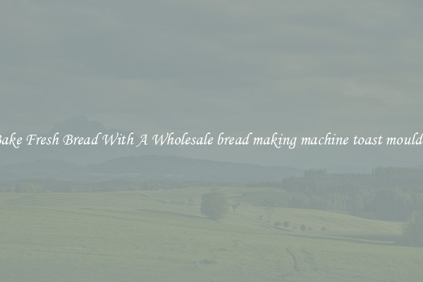 Bake Fresh Bread With A Wholesale bread making machine toast moulder