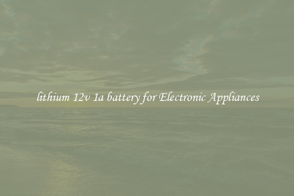 lithium 12v 1a battery for Electronic Appliances