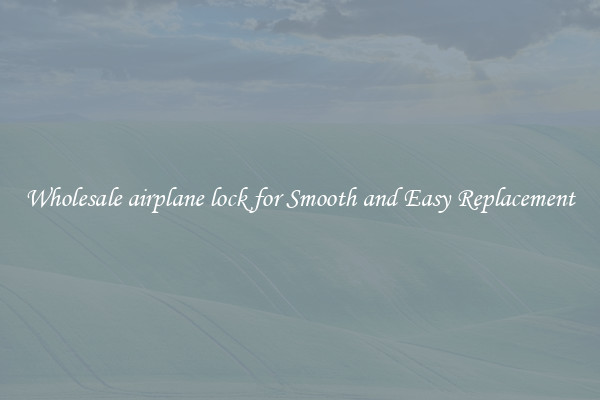 Wholesale airplane lock for Smooth and Easy Replacement