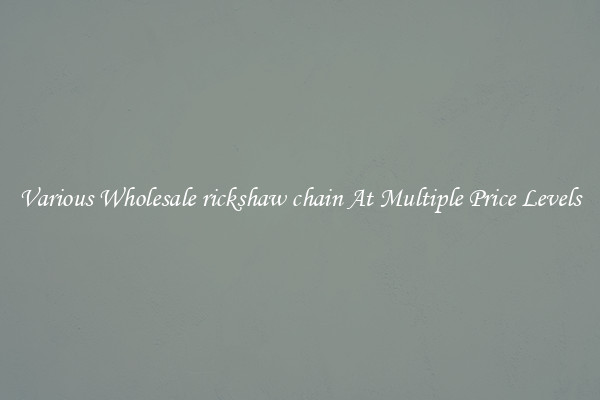 Various Wholesale rickshaw chain At Multiple Price Levels
