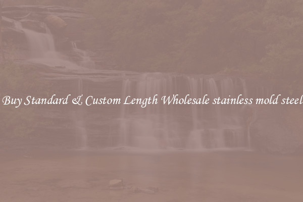 Buy Standard & Custom Length Wholesale stainless mold steel