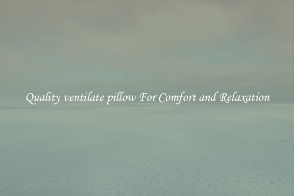 Quality ventilate pillow For Comfort and Relaxation