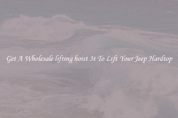 Get A Wholesale lifting hoist 3t To Lift Your Jeep Hardtop
