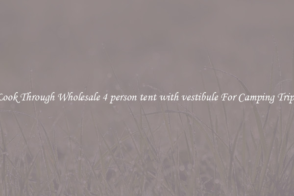 Look Through Wholesale 4 person tent with vestibule For Camping Trips