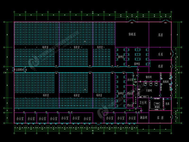 5000平黄瓜视频成人版室平麵設計圖