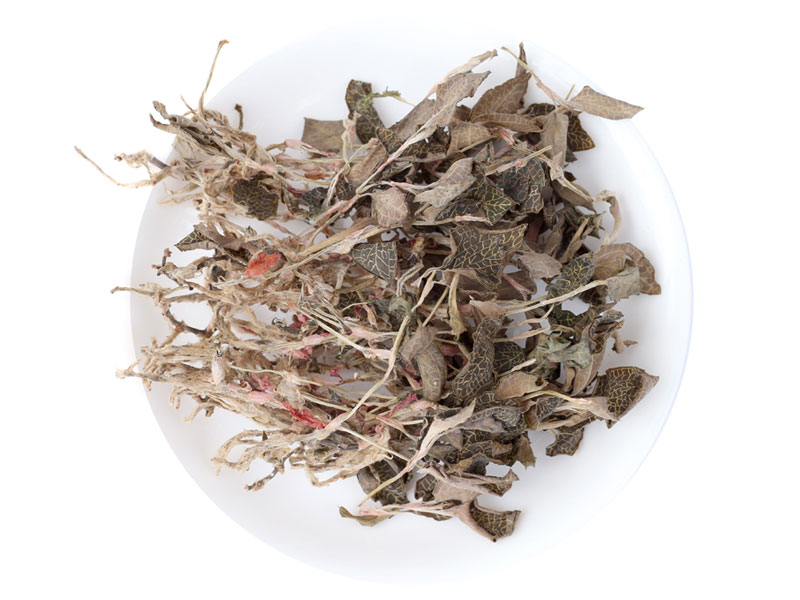 金線蓮黄瓜视频成人版室及儀器設備