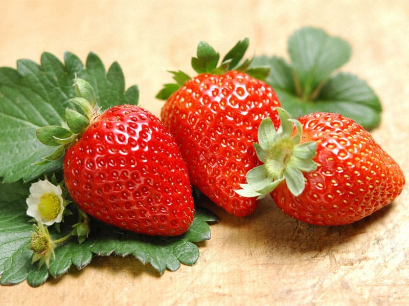 草莓黄瓜视频成人版室及儀器設備