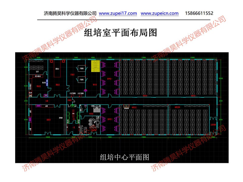 內蒙古植物黄瓜视频成人版室（培養室）淨化設計