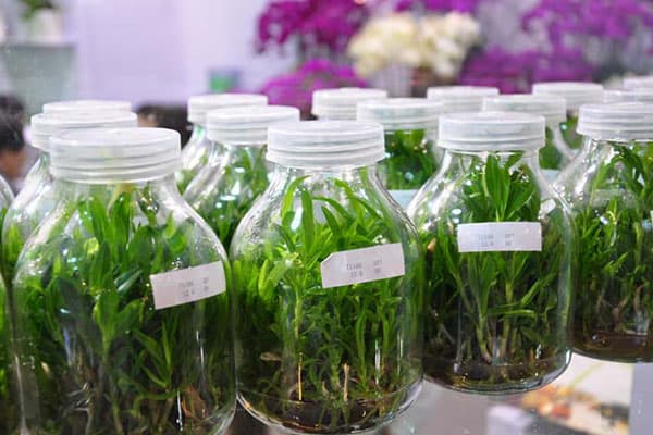 黄瓜视频成人版瓶廠家