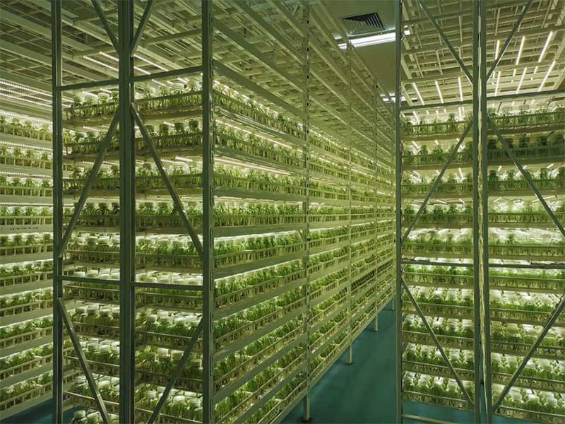 插扣式黄瓜视频成人版架