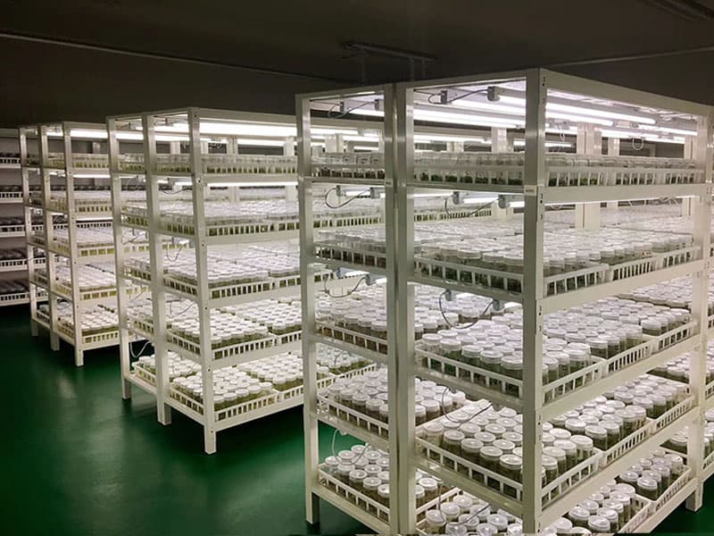 框架式黄瓜视频成人版架