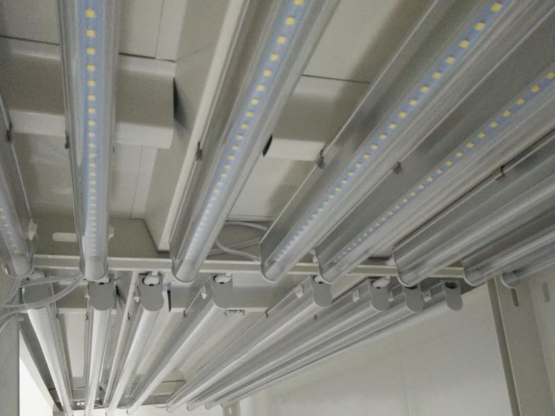 黄瓜视频成人版燈