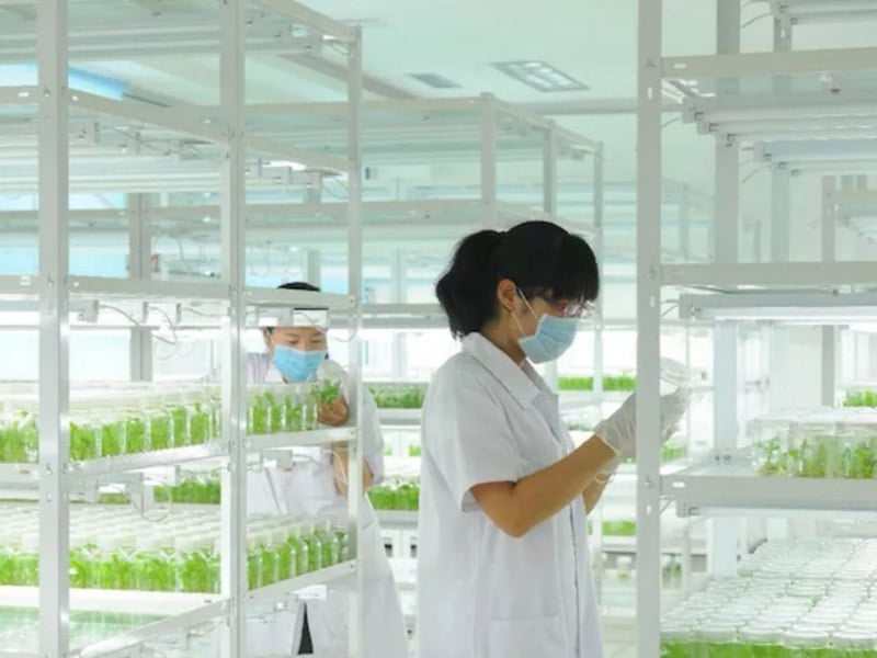 黄瓜视频成人版  黄瓜视频成人版架