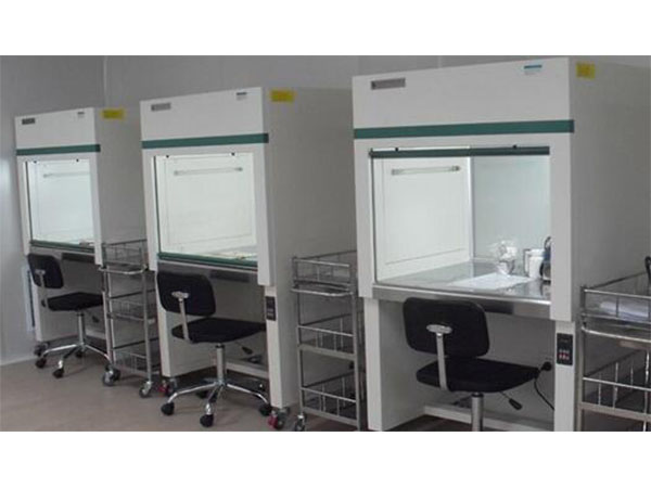 樹莓黄瓜视频成人版苗移栽技術