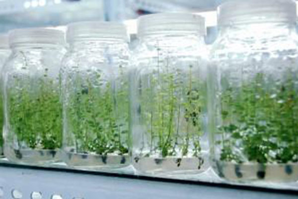 常見的黄瓜视频成人版儀器有哪些