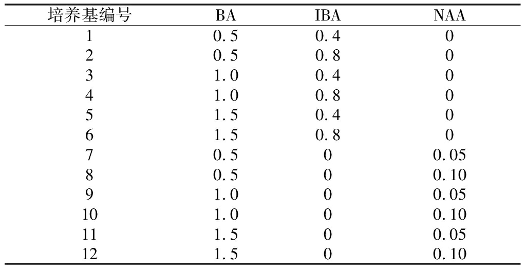 黑枸杞黄瓜视频成人版育苗技術的研究