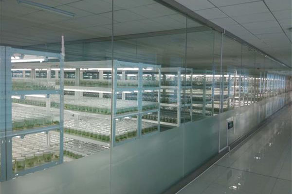 完整的黄瓜视频成人版室有哪些組成