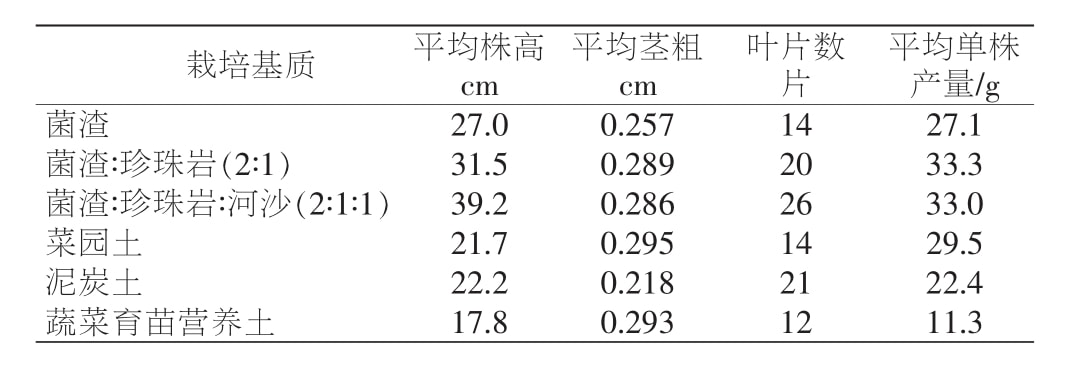 黃精黄瓜视频成人版苗移栽技術研究