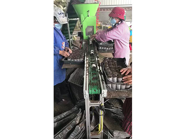 植物組織培養中的染菌及預防