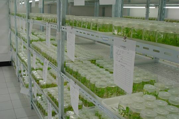 黄瓜视频成人版室不同的地方消毒方法是怎樣的