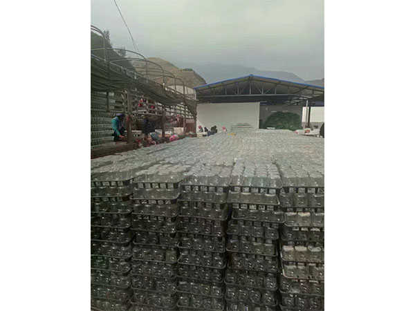 多花黃精根莖芽高效黄瓜视频成人版的試驗材料與方法